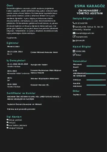 Yönetici Asistanı Cv Örnekleri cv indir